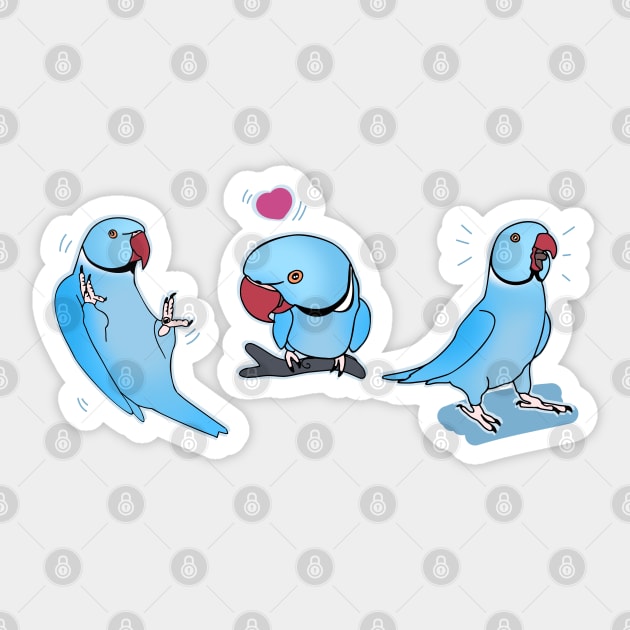 Three Blue indian ringneck doodles Sticker by FandomizedRose